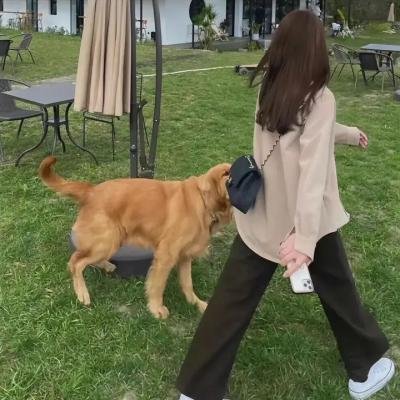 心智游戏